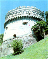 The tower of the family castle in Ostrog